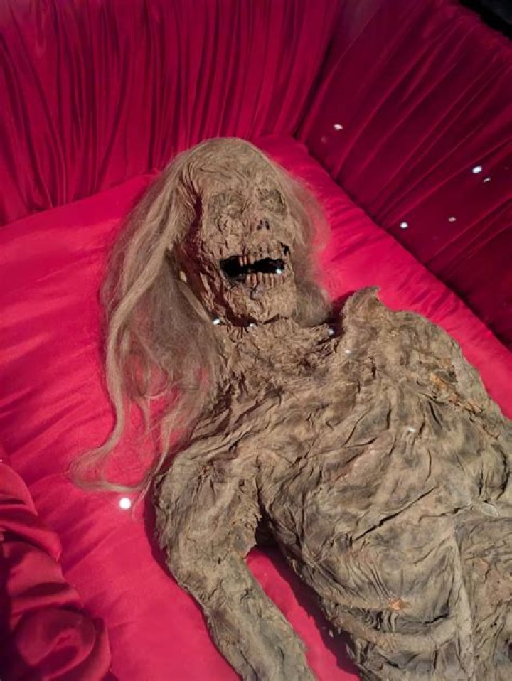 Horror pics show fecescovered couch that FUSED to body of recluse, 36