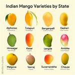 How Many Types of Mangoes Are There?