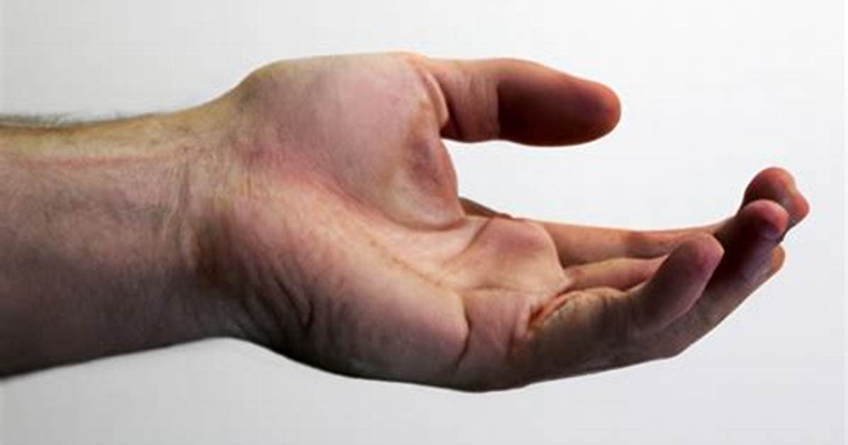 How Much Does 'On the Other Hand' Make? | Earnings | Net Worth