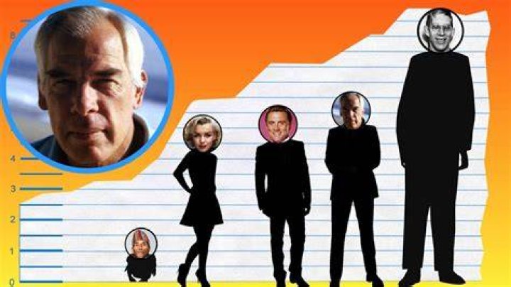 How Tall Is Lee Marvin? Height Comparison! YouTube