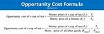 How to Compute for Opportunity Cost?
