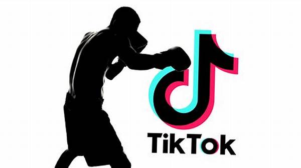 How to Play Tiktok's Shadow Box Game