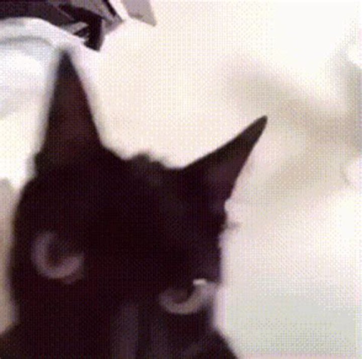 iced01.gif