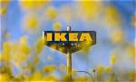 Ikea Net Profit Surges in 2023 as Sales Rise