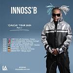 Innoss'b Net Worth 2024