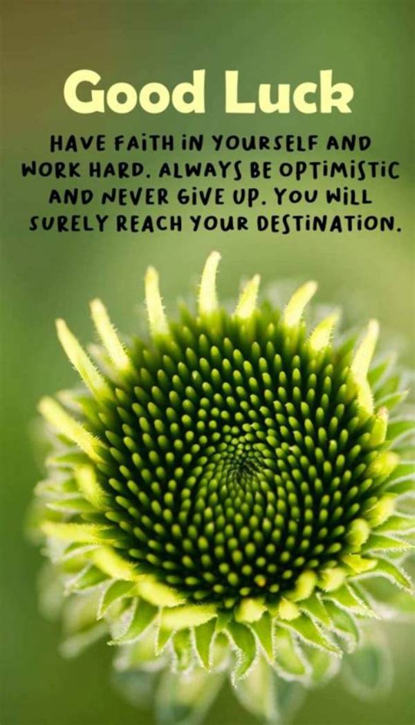 Inspirational Good Luck Quotes, Sayings, Wishes and Messages
