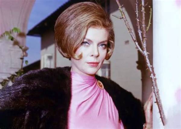 Is Barbara Bain Still Alive? Details on the Actress