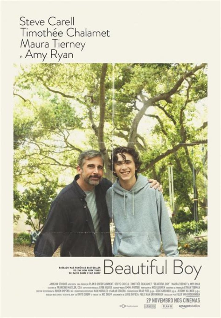 Is Beautiful Boy Movie Based On A True Story beautifuljullld