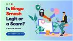 Is Bingo Smash Legit? – Feedback and Reviews