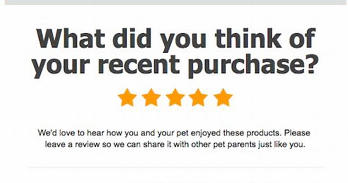 Is Chewy Legit? Chewy Feedback and Reviews