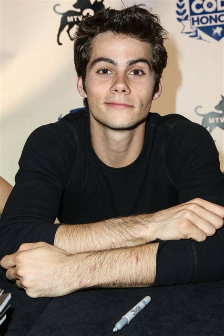 Is Dylan O'Brien in the 'Teen Wolf' Movie?