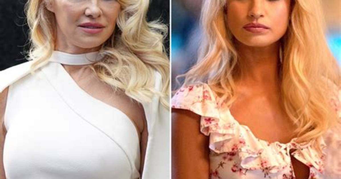 Is Laura Anderson Related to Pamela Anderson? Relationship