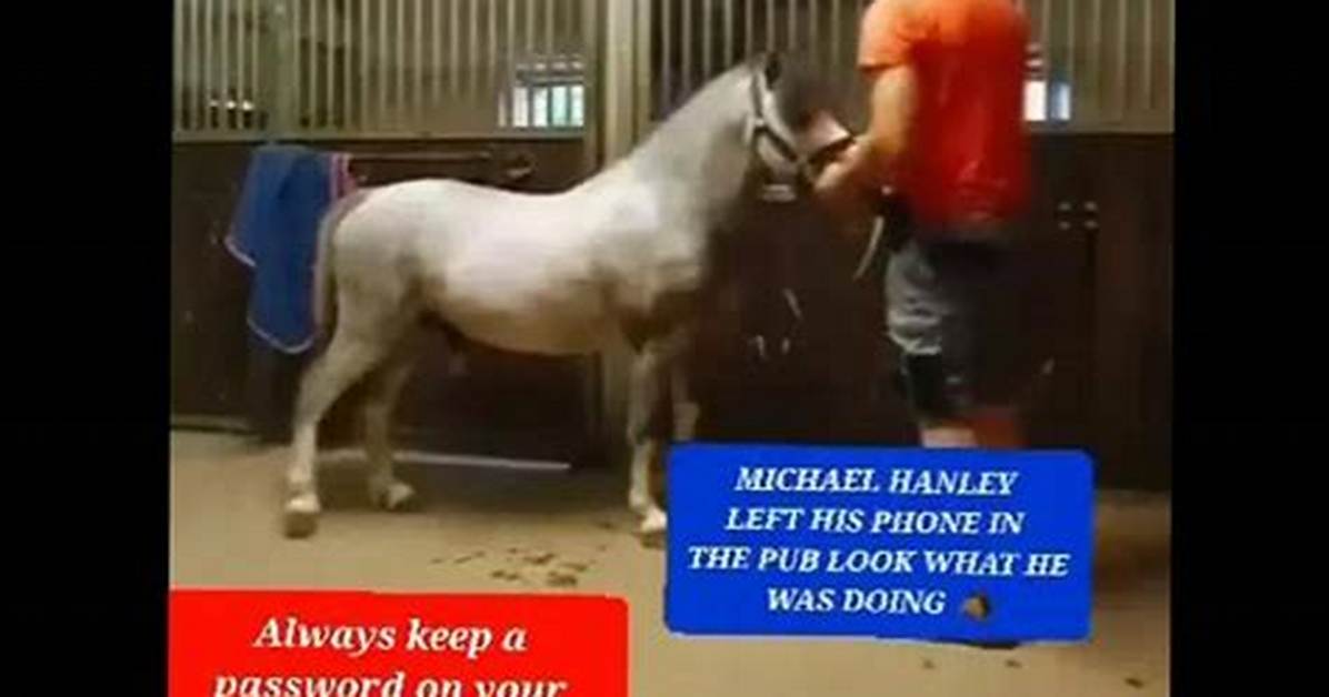 Is Michael Hanley Gay? Comfort Carriages Dublin Viral Horse Video