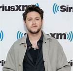 Is Niall Horan Gay? Sexuality Partner Family and Instagram Explored