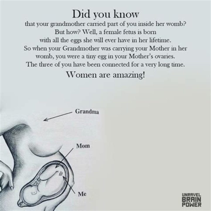 &ldquo;It comes from her womb, that feeling of defense, defending her charge