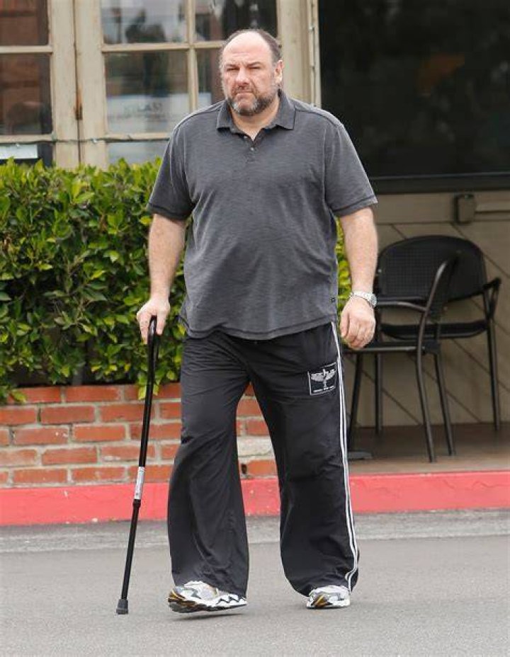 James Gandolfini Death Details Celebrity 2014