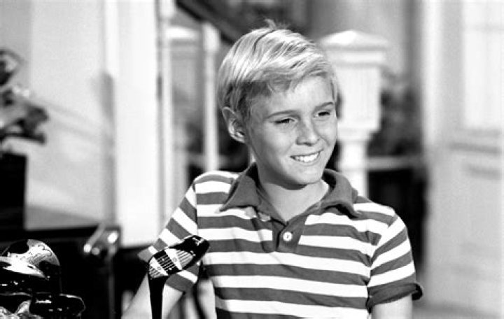 Jay North Dennis the menace, The donna reed show, Tv shows