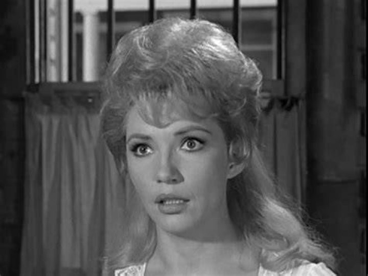 Jenny Lee Arness Cause of Death, Bio, Wikipedia, Gunsmoke Episodes