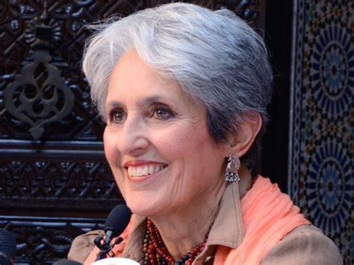 Joan Baez Net WorthWiki,bio,earnings,Career,Songs,Albums,Age,Husband