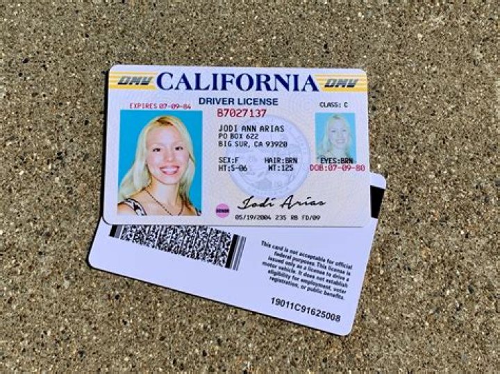 Jodi Arias Drivers License Prop hard Card Clear Etsy Australia
