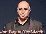 Joe Ragosta Net Worth 2024