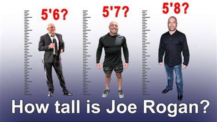 Joe Rogan Height How Tall is Joseph James Rogan? Hood MWR