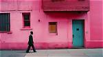 Joel Meyerowitz