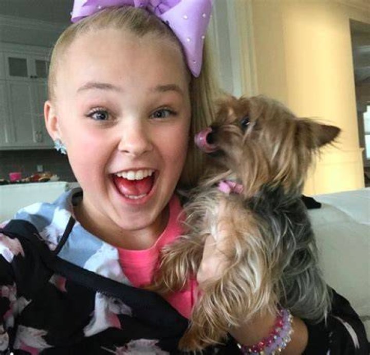 JoJo Siwa&rsquo;s Dog Dead After An &lsquo;Accident&rsquo; Hollywood Life