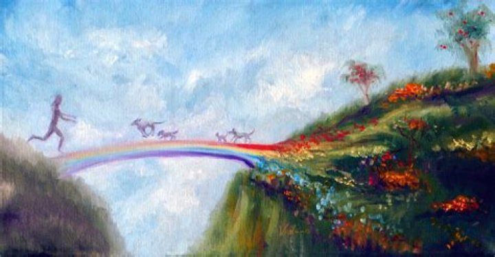 Josie Over The Rainbow Bridge 018