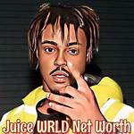 Just Juice Net Worth 2024