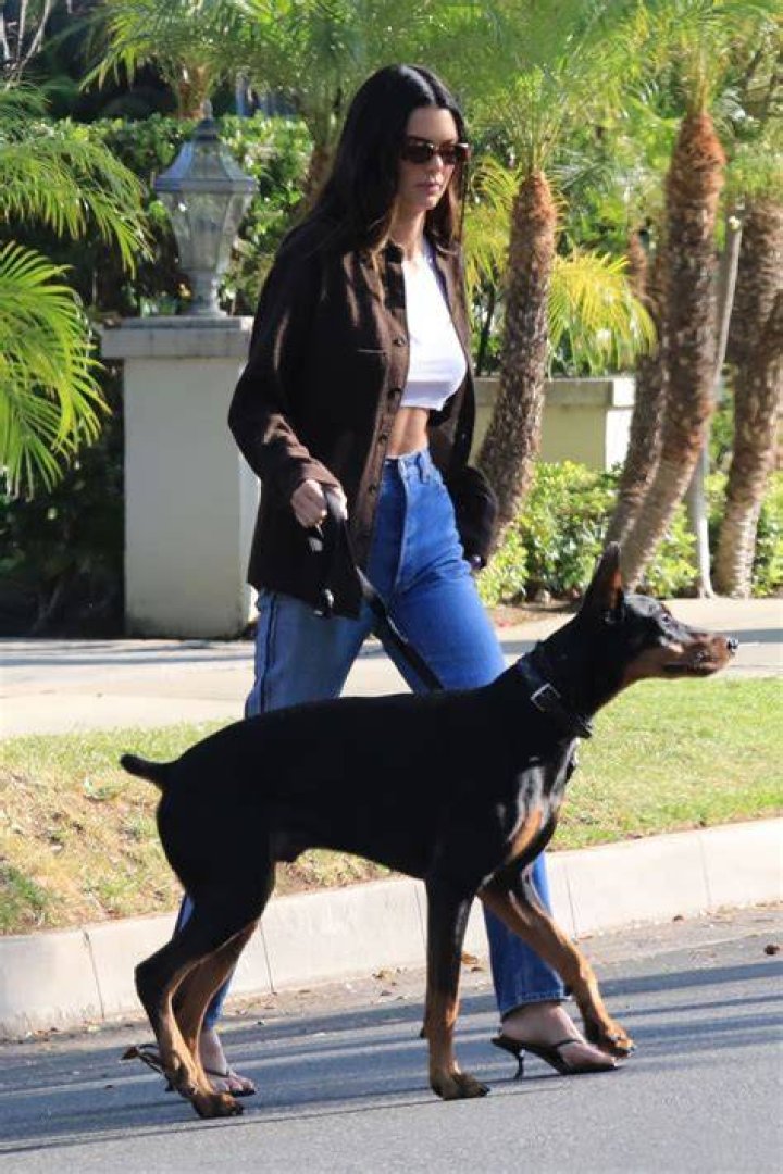 Kendall Jenner Walking Her Dog in Beverly Hills 05/07/2021 &bull; CelebMafia