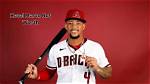Ketel Marte Net Worth 2024