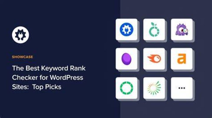 Keyword Rank Checker Tools to Check Website Rankings