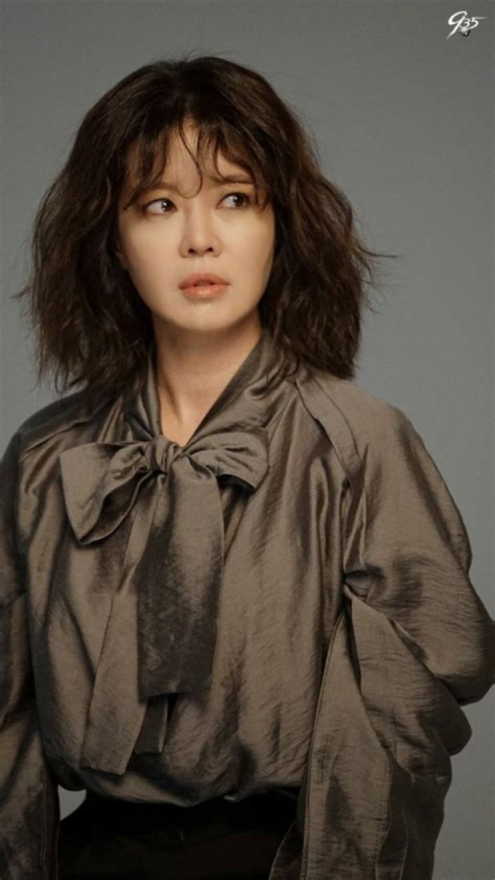 Kim Yeojin (김여진) HanCinema