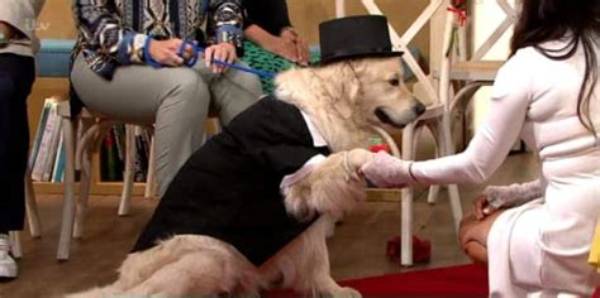 Lady Gets 'Married' to Dog on Live Tv Show