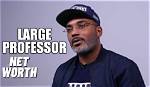 Large Professor Net Worth