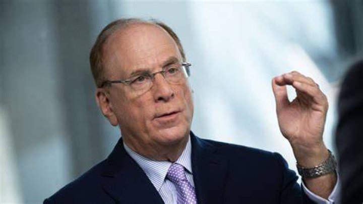 Larry Fink, el hombre detr&aacute;s de Blackrock al&eacute;rgico a los c&iacute;rculos
