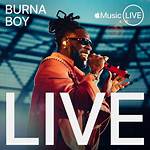 Latest Burna Boy Songs You Should Add to Your Playlist Asap