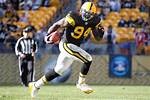 Lawrence Timmons