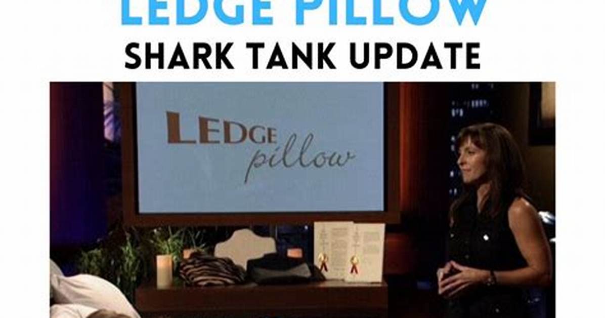 Ledge Pillow Shark Tank – Founder, Net Worth and Investment