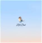 Little Bird by Jonas Brothers from Usa