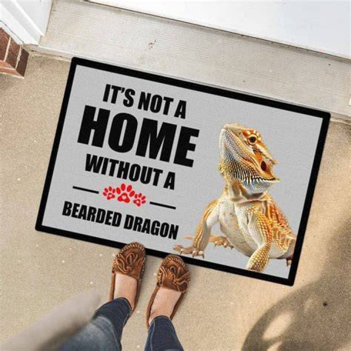Look what I found > Bearded Dragon Names repin Bearded dragon cute