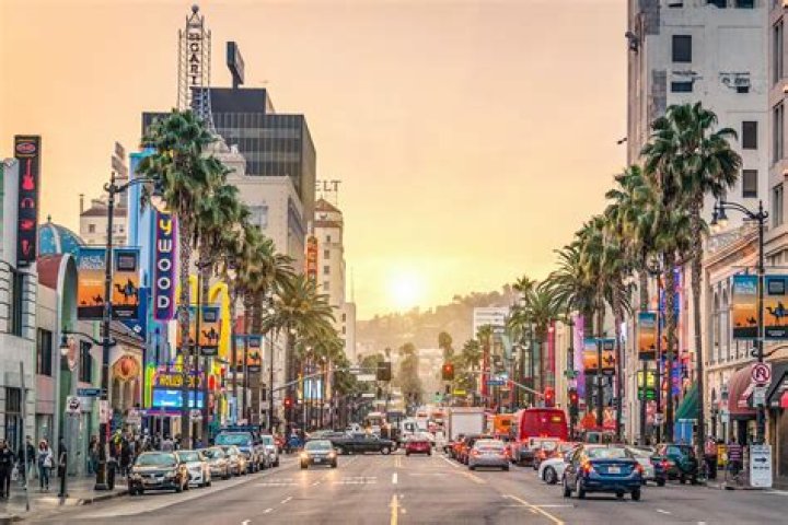 Los Angeles, California, USA 5th August 2019 Actor Shayne Topp and