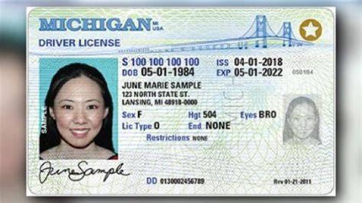 lucyrainbowdesigns Driver's License Number Michigan