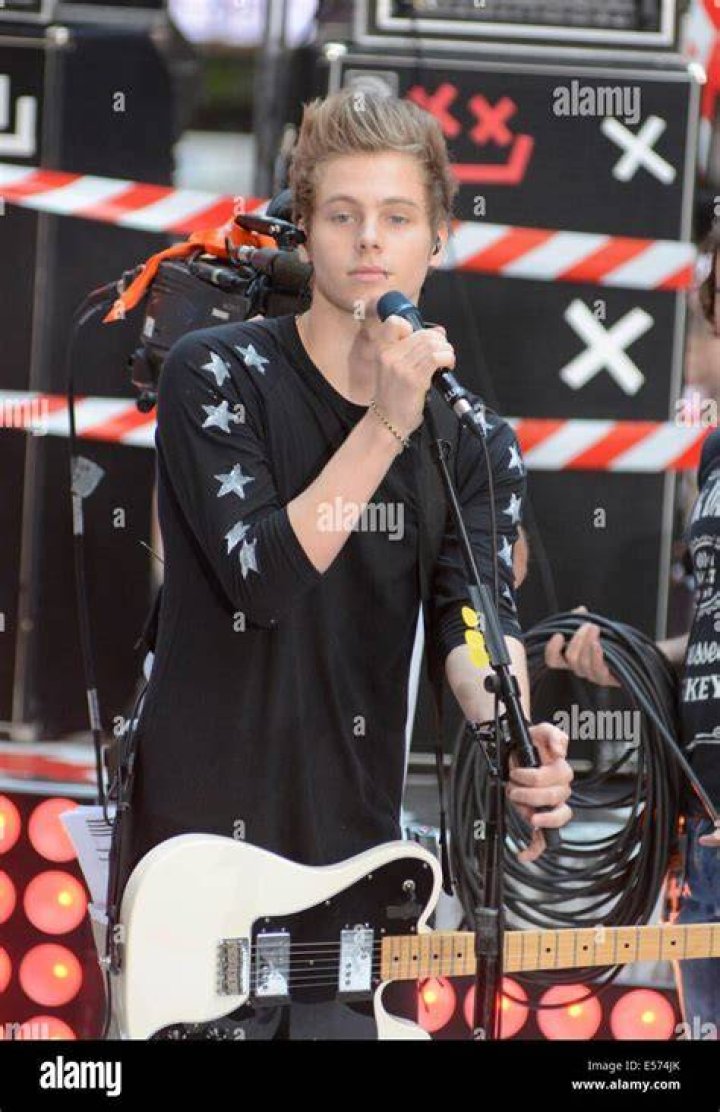 Luke Hemmings Picture 17 2014 American Music Awards Arrivals