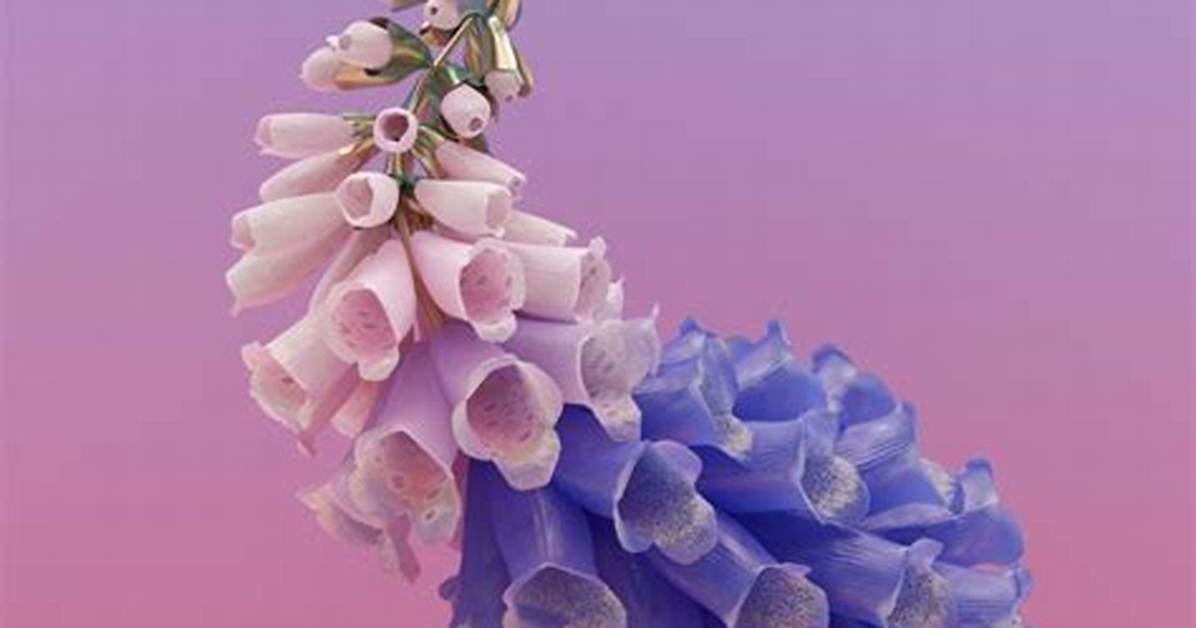 Lyrics & Translations of Say Nothing by Flume