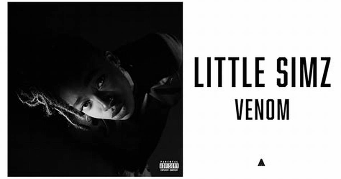Lyrics & Translations of Venom by Little Simz