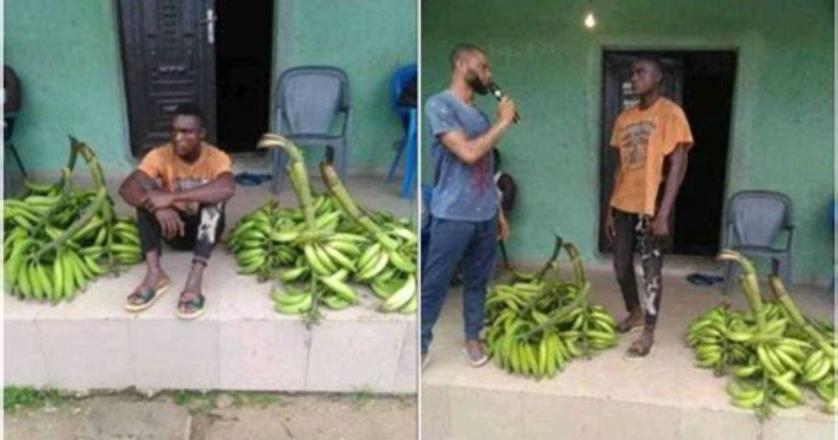 Man 'Steals' Bunches of Plantain, Says He Did It for Girlfriend Who Needed N10K Makeup, Nigerians React