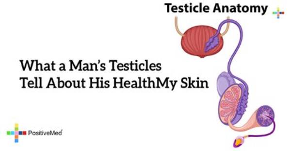 Man with Three Testicles Takes to Internet to Talk About His Condition