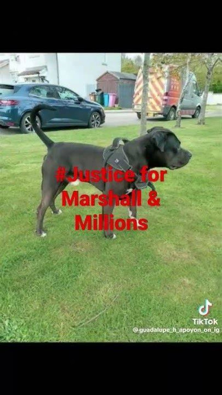 marshallandmillions 🥺🙏🙏 YouTube